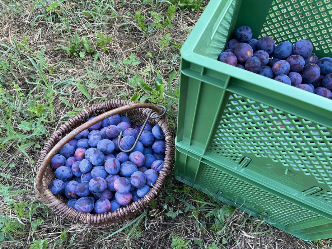 5C8B3AAC-DE13-4E40-825B-FF27DE79A31E